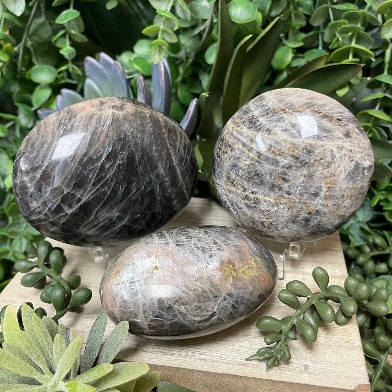 Black Moonstone - Palm Stone - xx1507