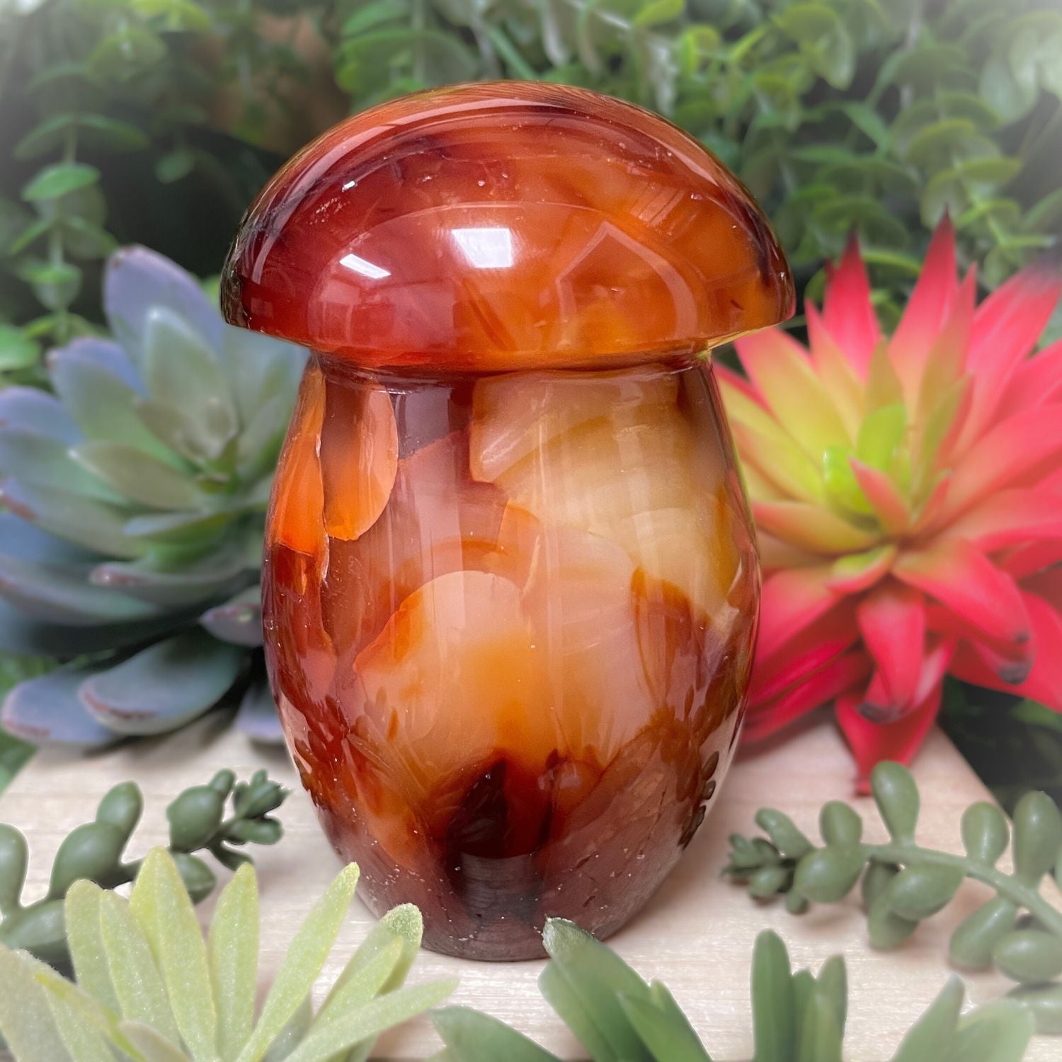 Carnelian - Mushroom - xx1730