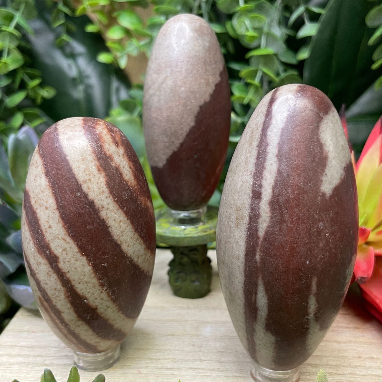 Shiva Lingham - Egg - xx3213